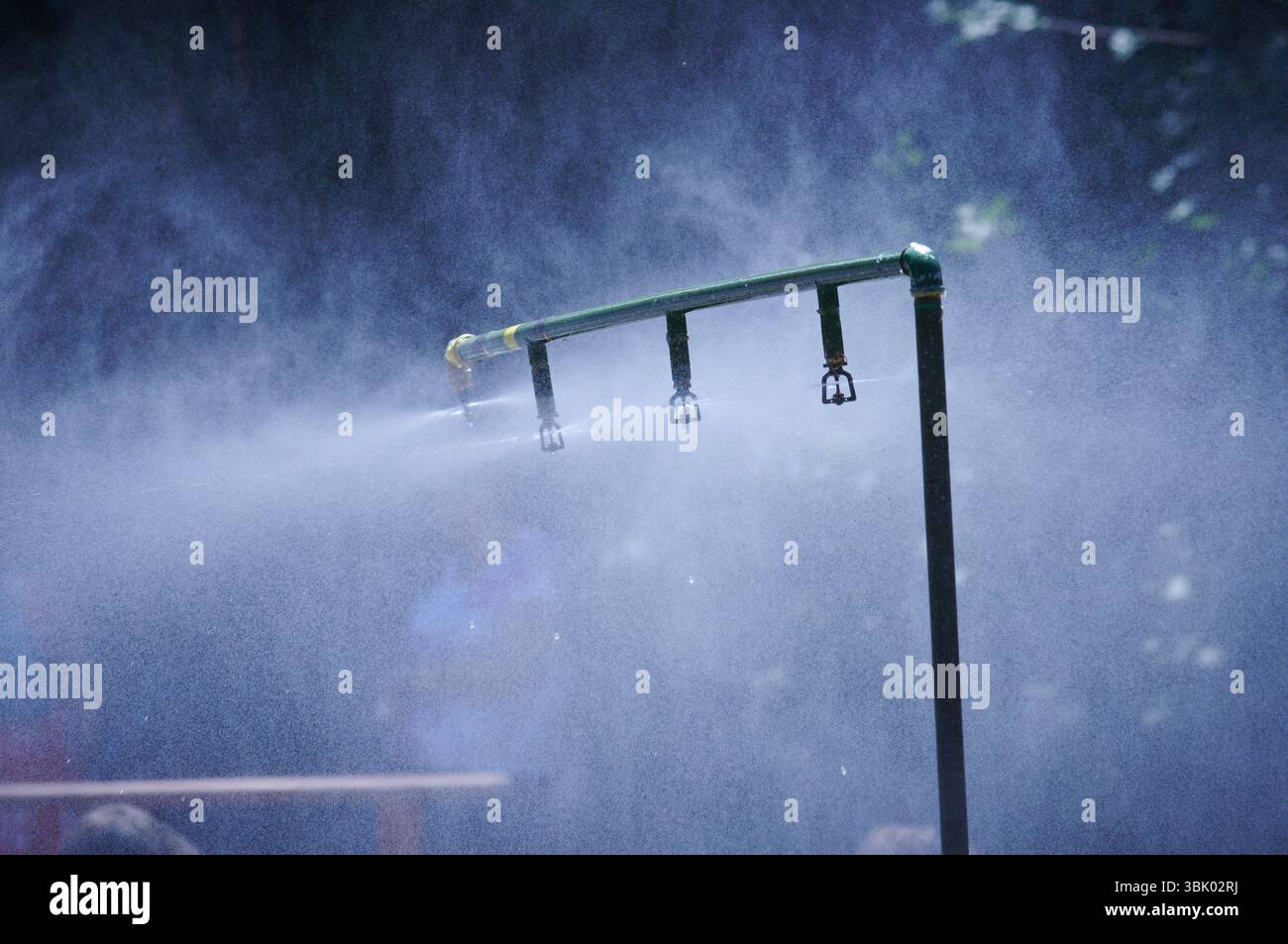 Saupoudrez en action en été Banque D'Images
