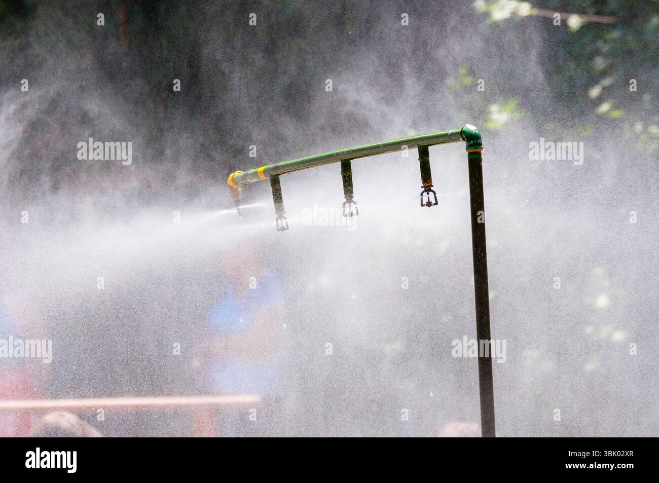 Saupoudrez en action en été Banque D'Images