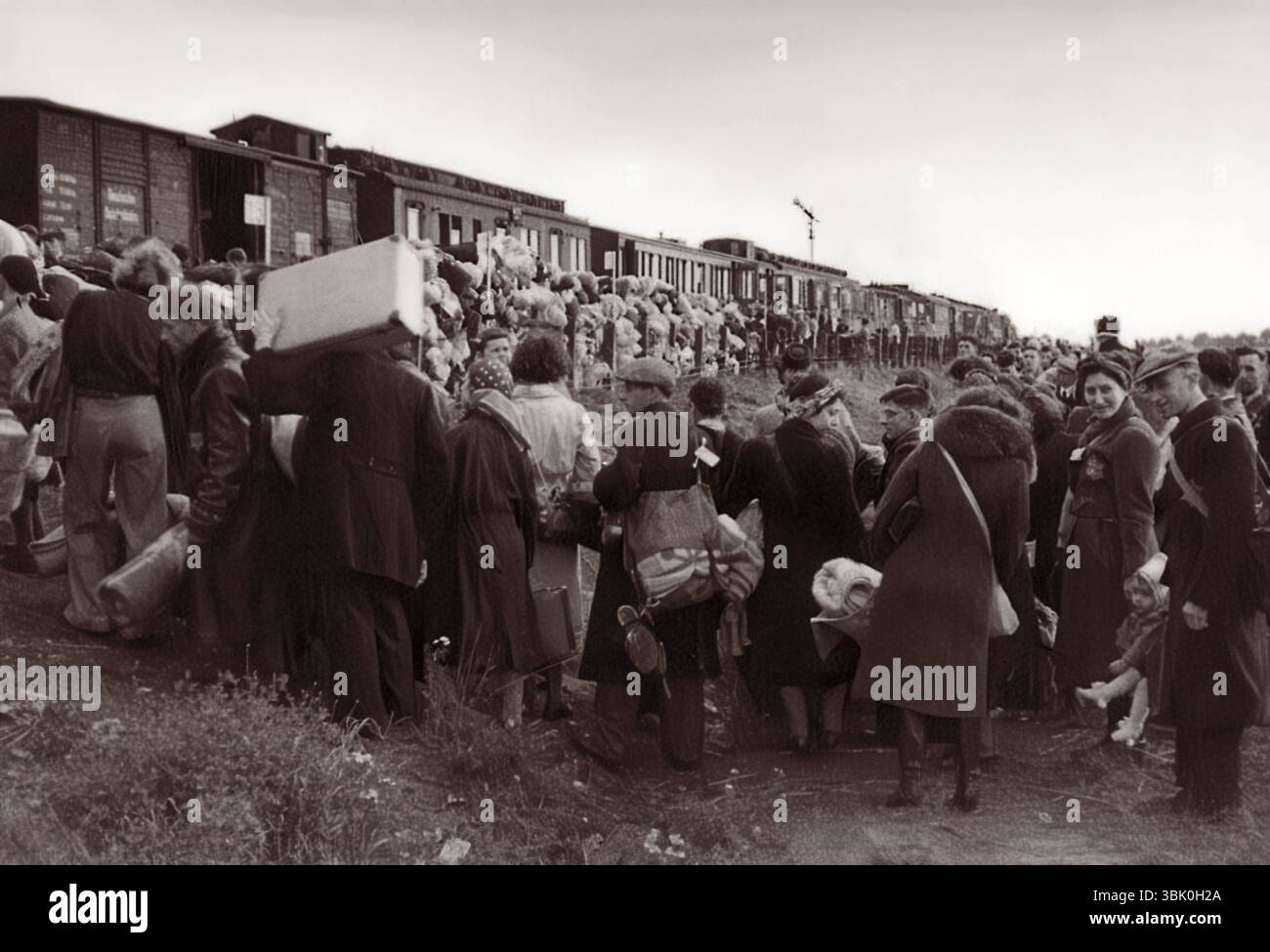 Des Juifs hollandais embarquent dans un train à Westerbork dans les pays-Bas occupés par les nazis, à destination du camp de concentration d'Auschwitz en Pologne. (c1942/1943) Banque D'Images