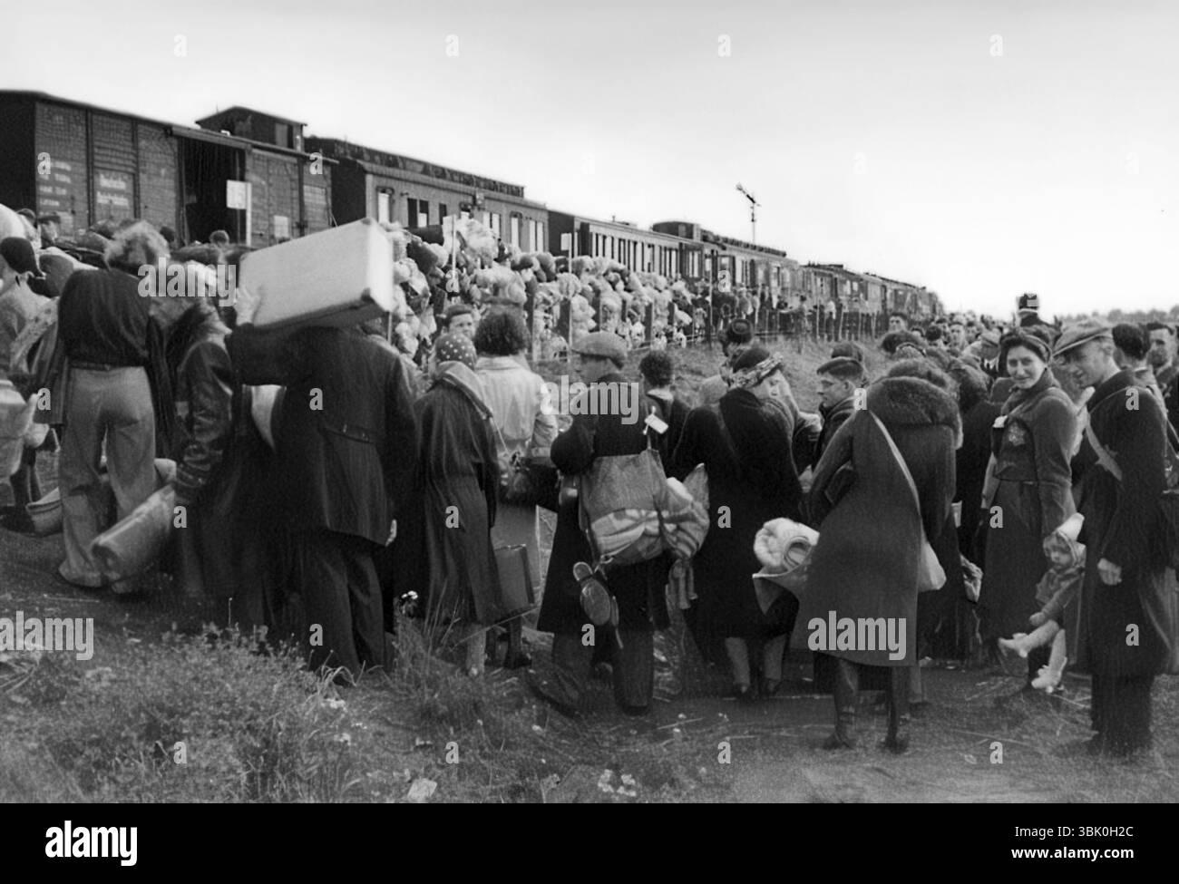 Des Juifs hollandais embarquent dans un train à Westerbork dans les pays-Bas occupés par les nazis, à destination du camp de concentration d'Auschwitz en Pologne. (c1942/1943) Banque D'Images