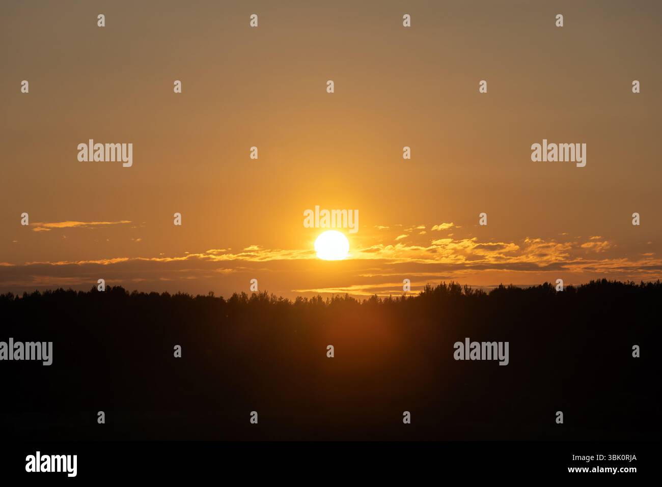 Une image étonnante capturant le coucher de soleil brillant sur une forêt sombre, avec des teintes orange et jaune peignant le ciel et créant un cadre paisible et serein Banque D'Images