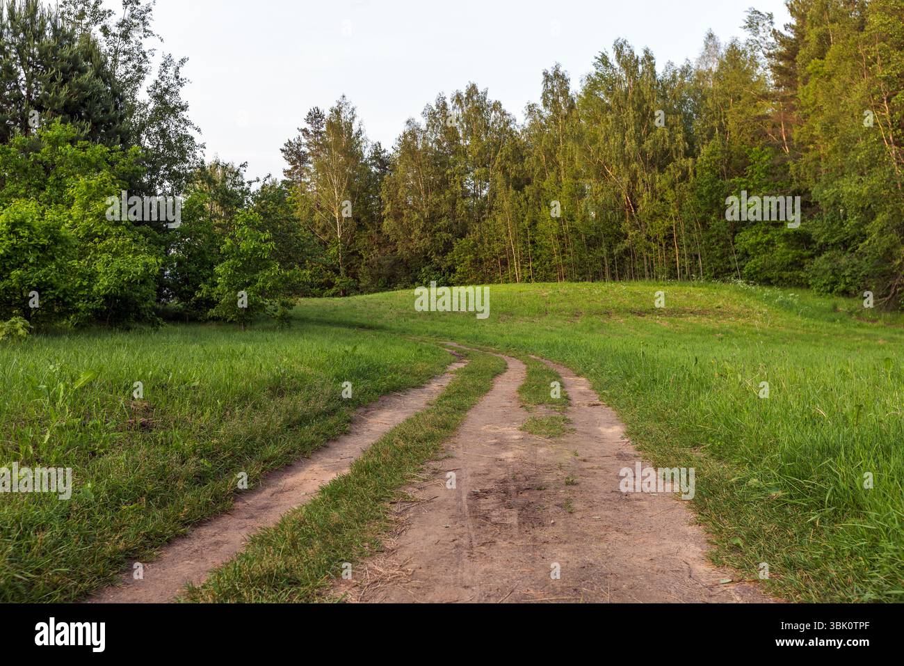 Une scène de campagne paisible montrant un chemin de terre courbé à travers une prairie herbeuse bordée d'arbres denses d'une forêt, baignée de lumière douce du soleil Banque D'Images