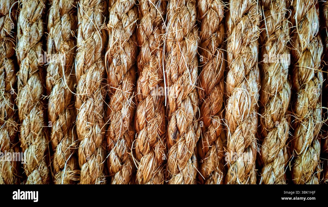 Gros plan sur la texture de corde de jute tressée Banque D'Images