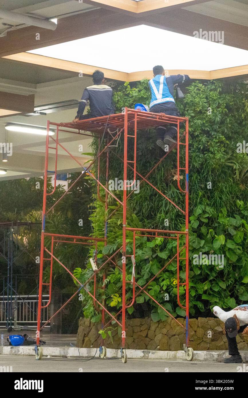 Bali, Indonésie - 19 décembre 2024 : avion de l'aéroport de Bali la nuit avec de nombreux touristes à la section des arrivées Banque D'Images
