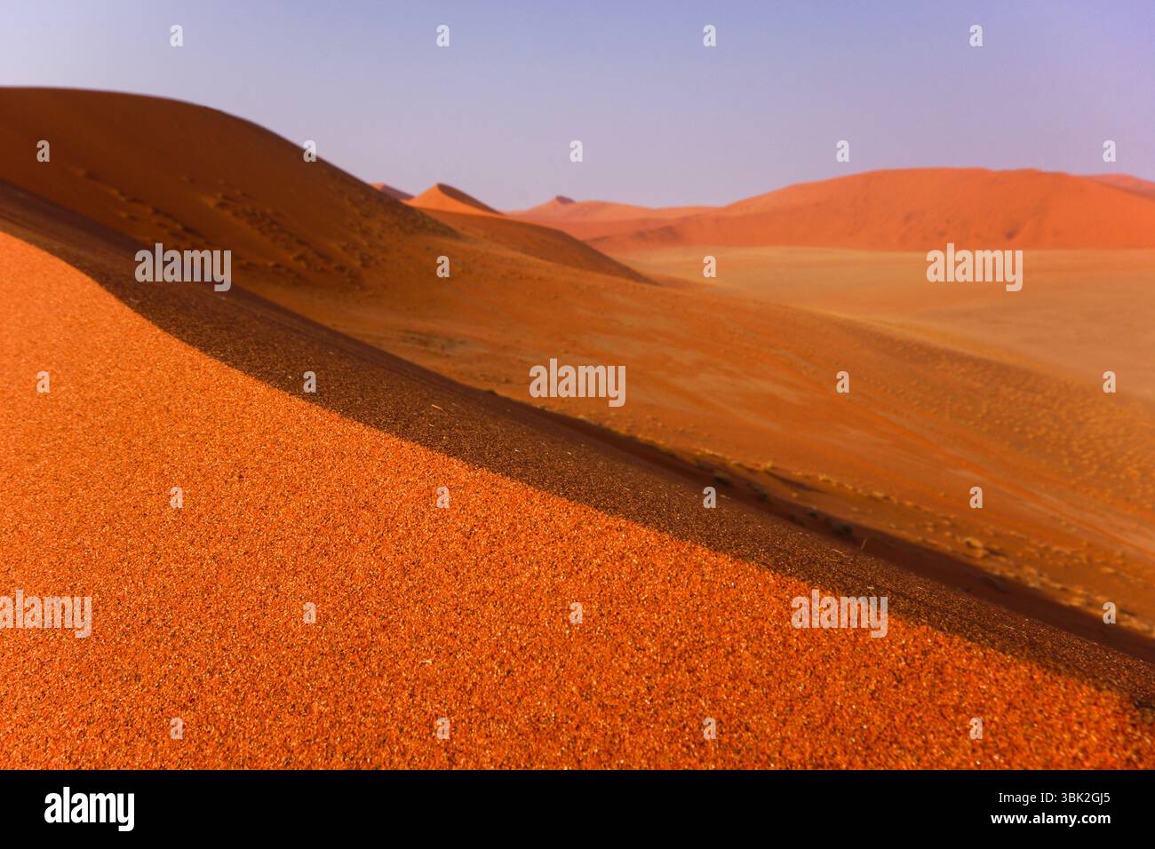 Grains de sable rouge formant la crête acérée de la Dune 45, avec la lumière et l'ombre se rejoignant sur la crête, désert de Namib, Namibie Banque D'Images