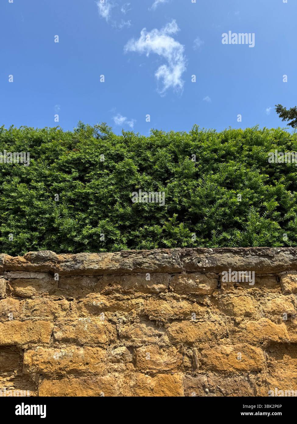 Ciel bleu avec un nuage solitaire, au-dessus de la haie, au-dessus du mur de pierre Cotswolds - Image de stock capturée avec un smartphone