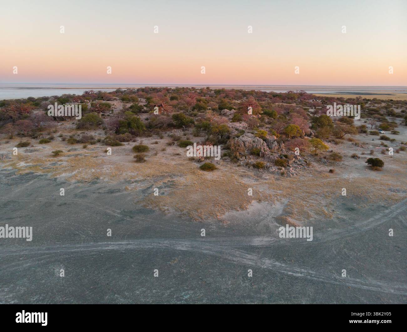 Vue aérienne majestueuse des baobabs sur l'île de Kubu au lever du soleil Banque D'Images