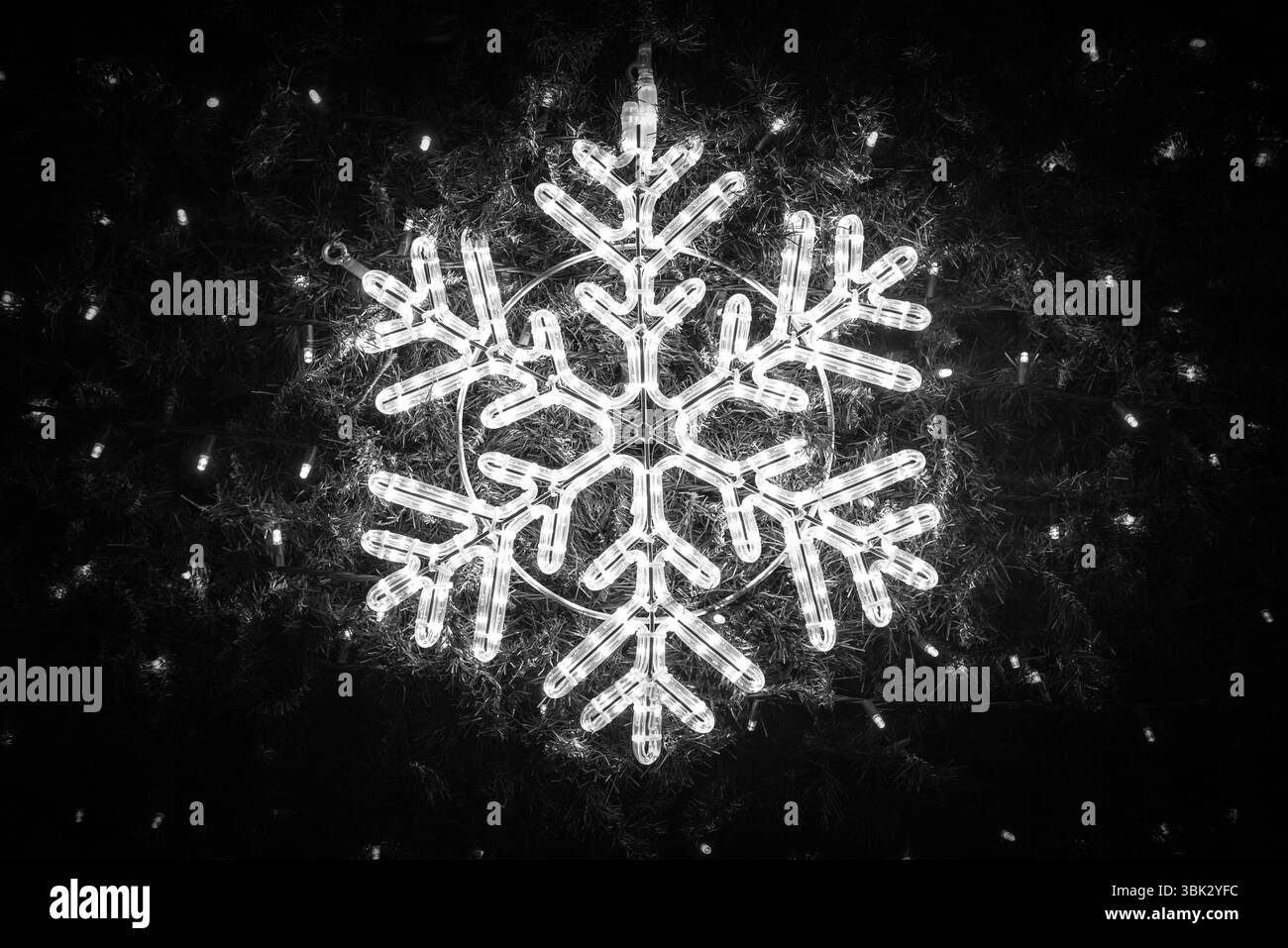 Lumières sur l'arbre de Noël photo gros plan Banque D'Images