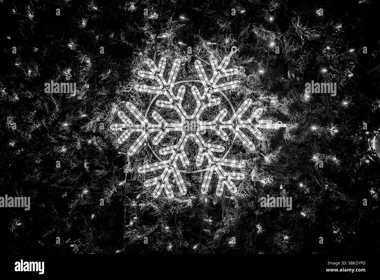 Lumières sur l'arbre de Noël photo gros plan Banque D'Images