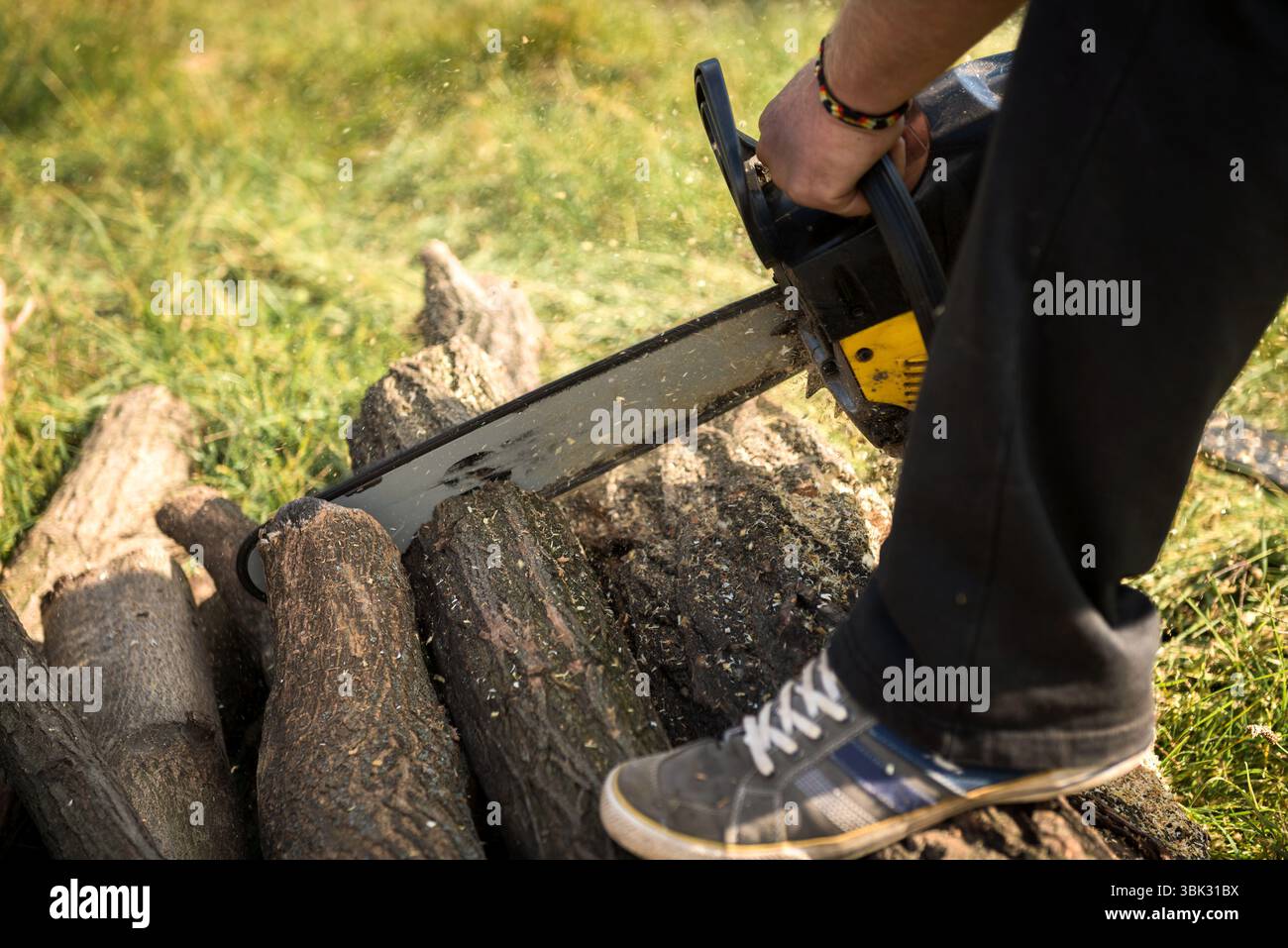 Tronçonneuse professionnelles fonctionnant à l'essence, entre les mains d'un homme Banque D'Images