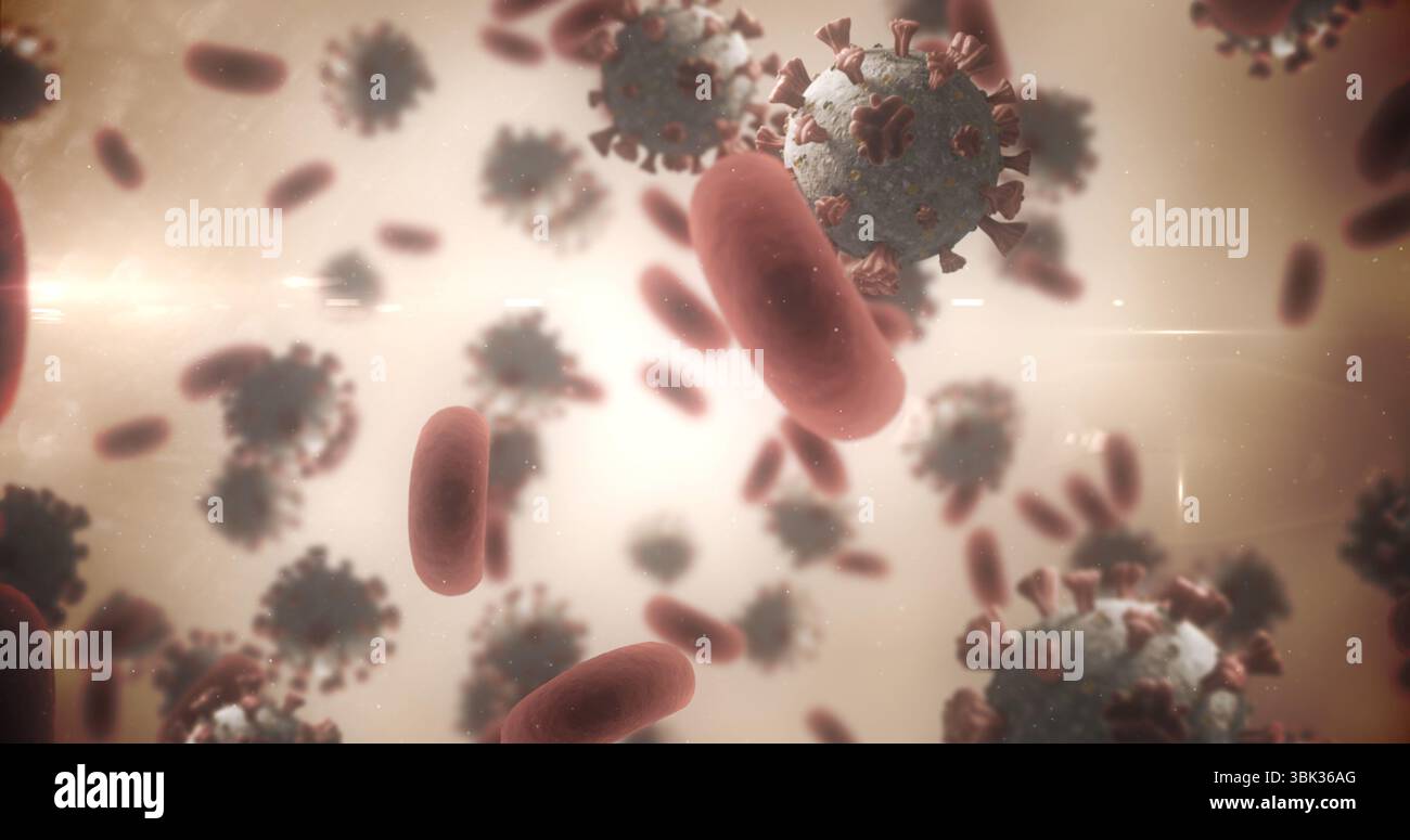 Des particules virales sphériques avec des protéines de pointe flottent parmi les globules rouges dans la conception plate Banque D'Images