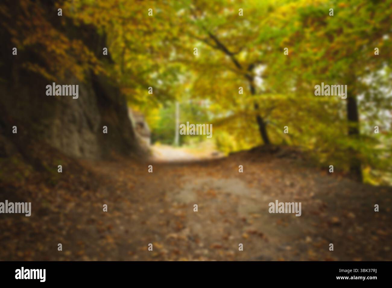 Conception plate montrant un sentier de terre serpentant à travers la forêt d'automne avec des feuilles tombées et des affleurement rocheux Banque D'Images