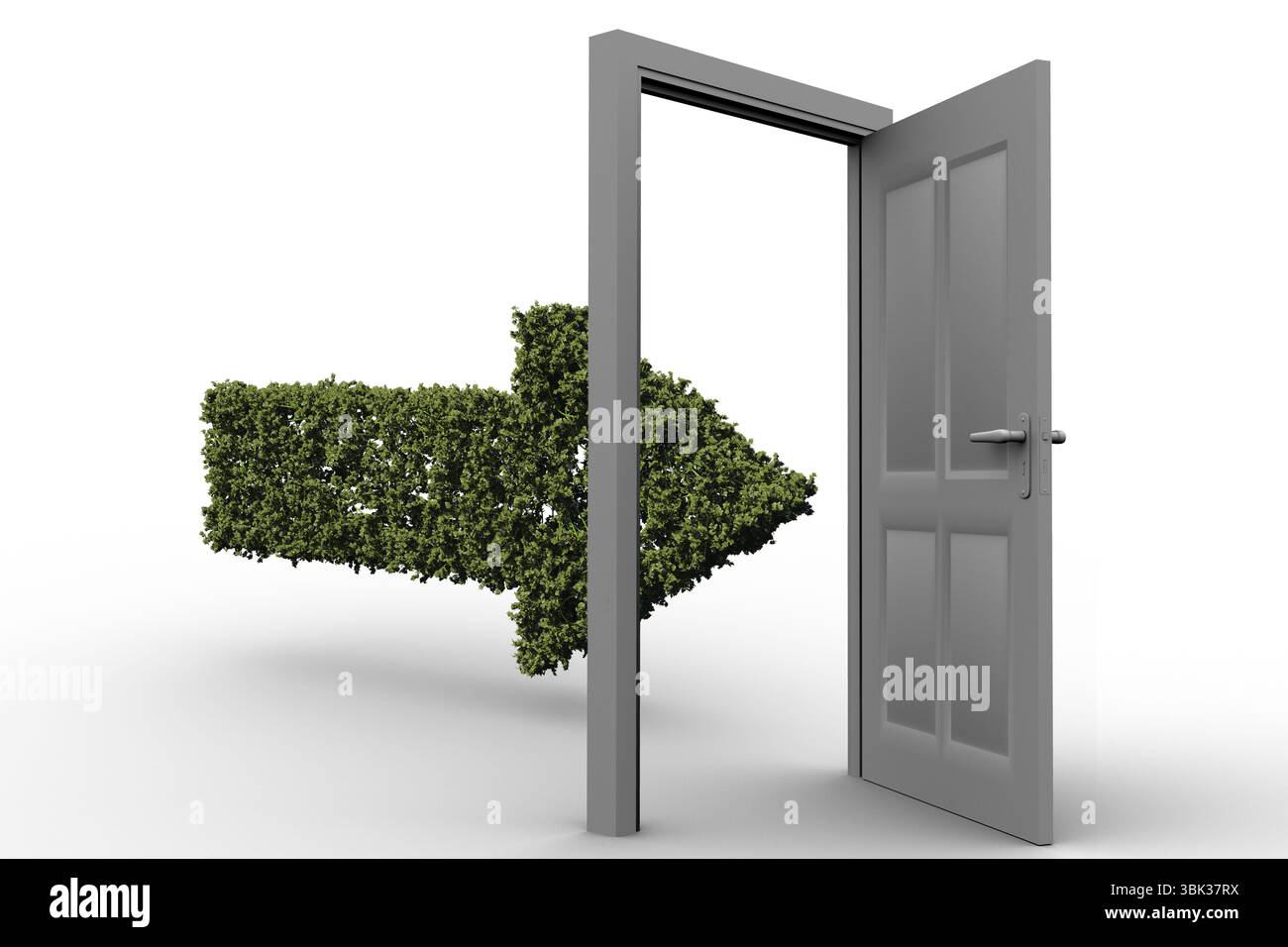 L'illustration plate représente un cadre de porte gris sur fond blanc avec une flèche de haie verte émergeant Banque D'Images