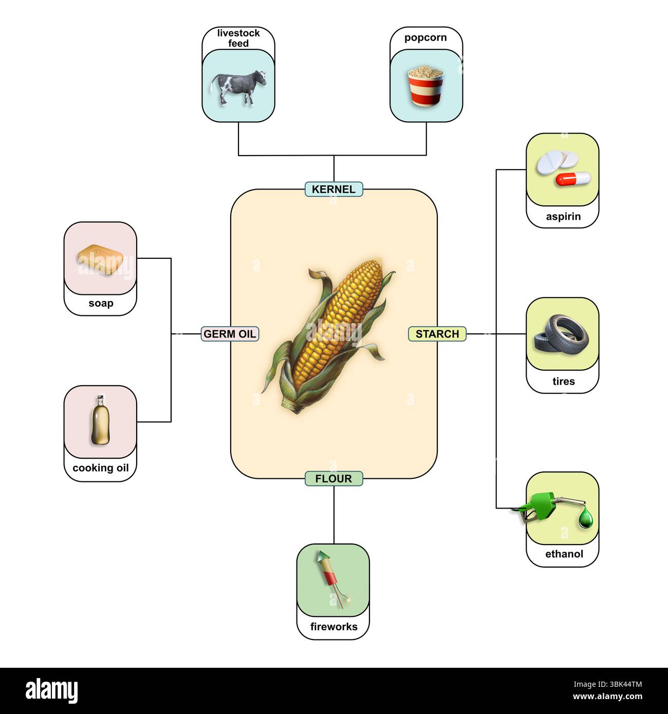 Différentes utilisations du maïs dans l'industrie et comme source alimentaire. Illustration numérique, rendu 3D. Banque D'Images