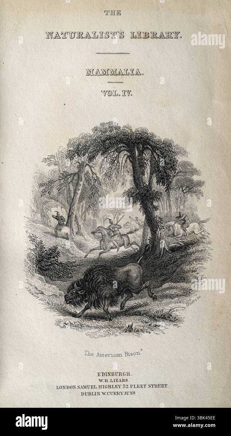 Amérindiens chassant le bison américain, le buffle, les chasseurs à cheval, page de tuile pour la Bibliothèque des Natralistes, Mammalia vol IV Banque D'Images