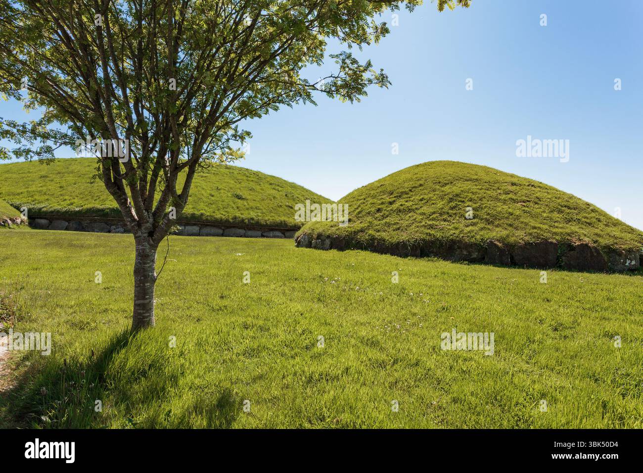 BRU Ba Boinne : Knowth, un complexe funéraire néolithique comprenant un tombeau gargantuesque entouré de bordures de trottoirs hautement décorés et plusieurs tombes plus petites Banque D'Images