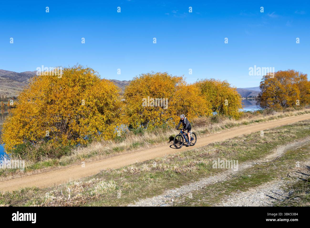 Lac Dunstan réservoir, Otago, Nouvelle-Zélande, cycliste masculin monte en vélo de montagne gravier sur le lac Dunstan Trail ride, le jour d'automne ciel bleu Banque D'Images