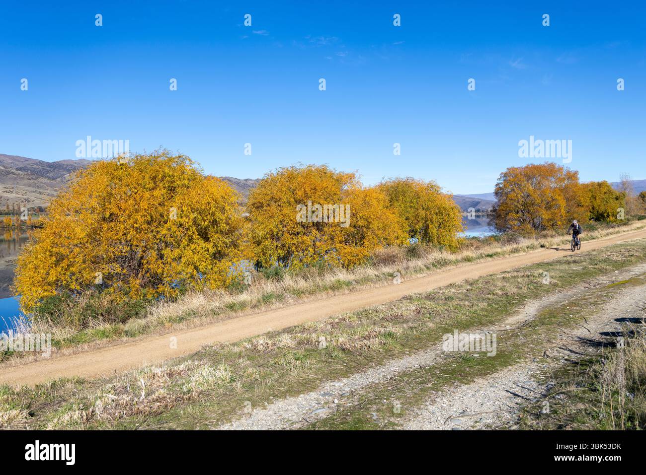 Lac Dunstan réservoir, Otago, Nouvelle-Zélande, cycliste masculin monte en vélo de montagne gravier sur le lac Dunstan Trail ride, le jour d'automne ciel bleu Banque D'Images