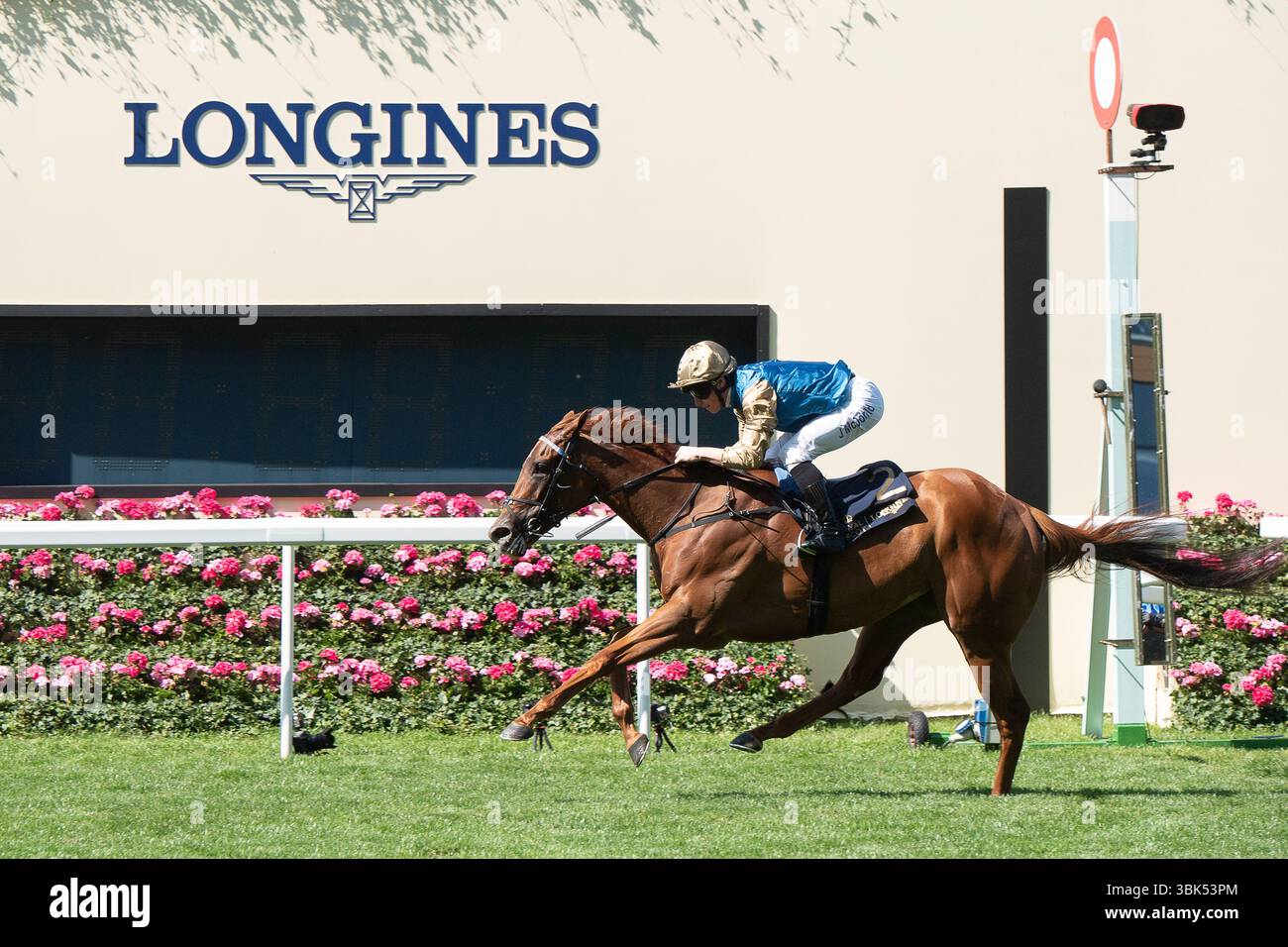 Ascot, Berkshire, Royaume-Uni. 18 juin 2025. Horse CRIMSON ADVOCATE monté par le jockey James McDonald remporte le Duke of Cambridge Stakes Group 2 à Royal Ascot, Ascot Racecourse Berkshire le deuxième jour de Royal Ascot. Propriétaire Wathnan Racing, entraîneur John & Thady Gosden, Newmarket, éleveur Whitehall Lane Farm. Crédit : Maureen McLean/Alamy Live News Banque D'Images