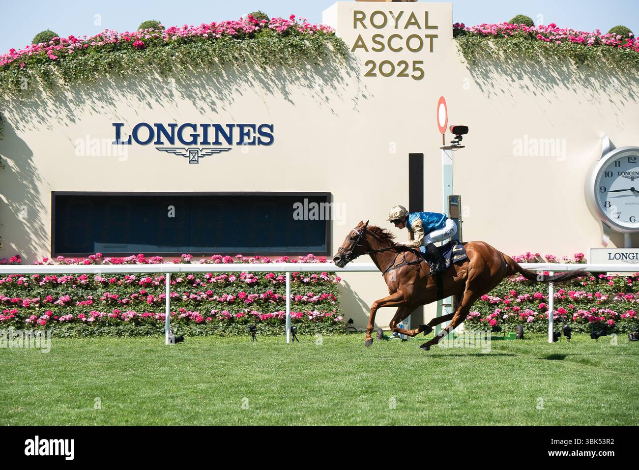 Ascot, Berkshire, Royaume-Uni. 18 juin 2025. Horse CRIMSON ADVOCATE monté par le jockey James McDonald remporte le Duke of Cambridge Stakes Group 2 à Royal Ascot, Ascot Racecourse Berkshire le deuxième jour de Royal Ascot. Propriétaire Wathnan Racing, entraîneur John & Thady Gosden, Newmarket, éleveur Whitehall Lane Farm. Crédit : Maureen McLean/Alamy Live News Banque D'Images
