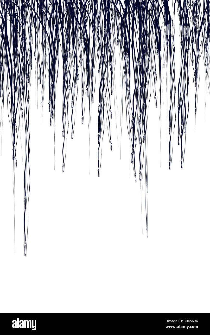 Des lignes abstraites sombres imitant la peinture coulant de haut en bas ou de fines branches d'arbre pendantes vers le bas Illustration de Vecteur