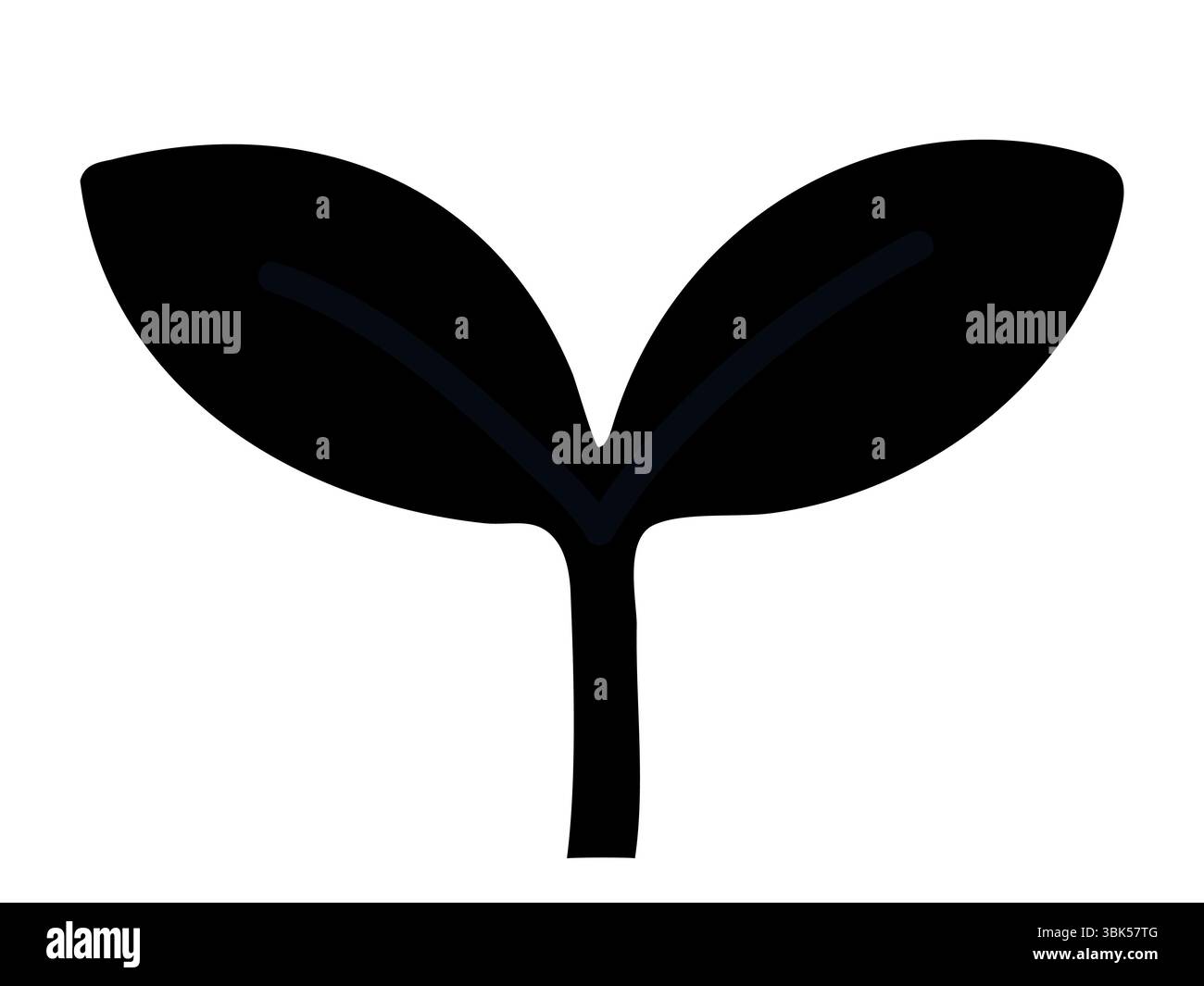 Silhouette noire simple de jeune plante à deux feuilles, isolée sur fond blanc, illustration graphique. concept de croissance, nature, semis, organe Illustration de Vecteur