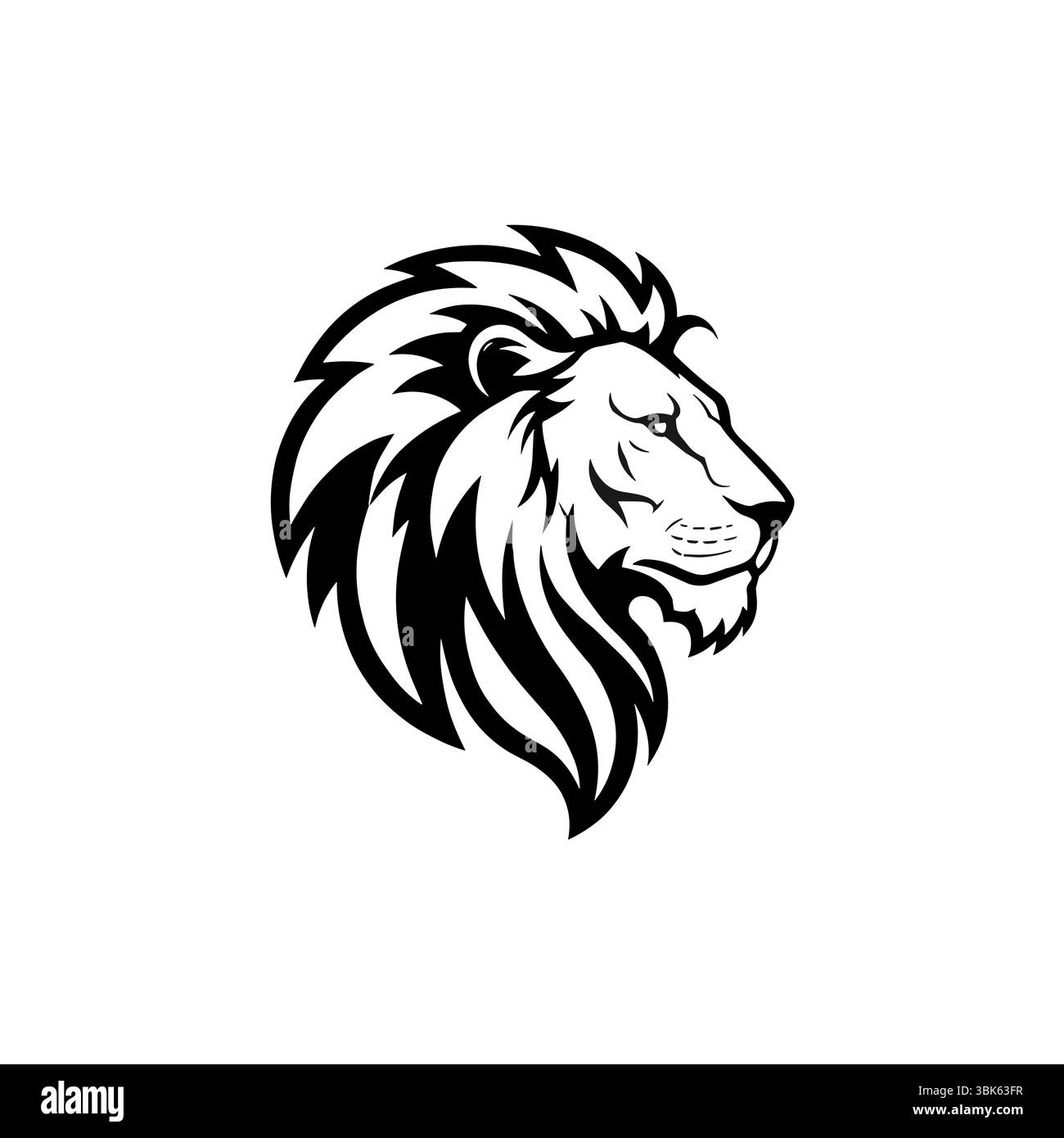 Illustration de tête de lion mâle dans le style noir et blanc. Illustration vectorielle sur fond blanc Illustration de Vecteur