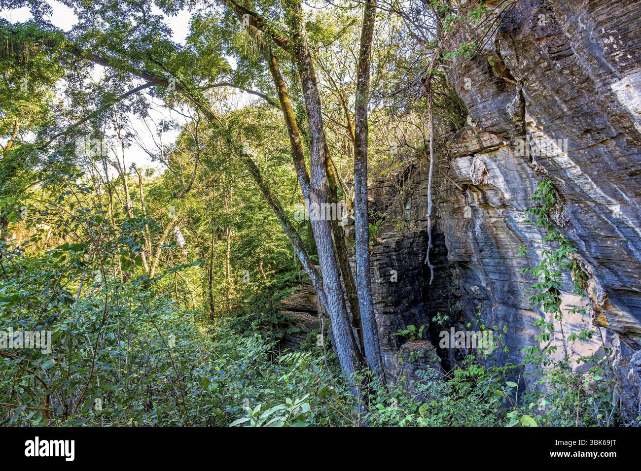 Roches parmi les arbres à l'intérieur de la forêt tropicale dans l'état de Minas Gerais au Brésil, Minas Gerais, Brésil, Amérique du Sud Banque D'Images Roches parmi les arbres à l'intérieur de la forêt tropicale dans l'état de Minas Gerais au Brésil, Minas Gerais, Brésil, Amérique du Sud Banque D'Images