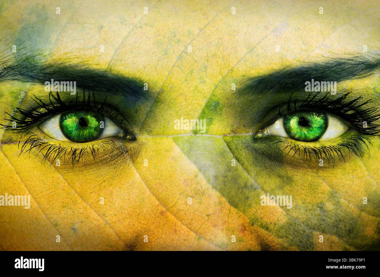 Paire d'yeux verts montre la superposition de texture de feuille surréaliste et l'effet craquelé dans le rendu numérique Banque D'Images