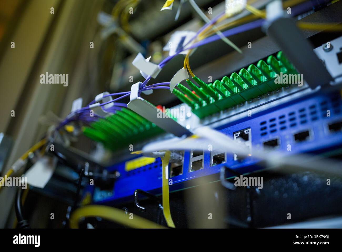 Panneau de brassage fibre optique plat avec adaptateurs verts et câbles étiquetés dans un environnement rack Banque D'Images