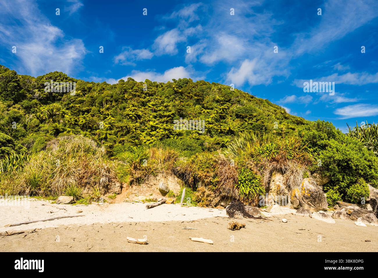 Green Bank au sommet de la plage à Woodpecker Bay, près de Punakaiki, côte ouest, Île du Sud, Nouvelle-Zélande Banque D'Images