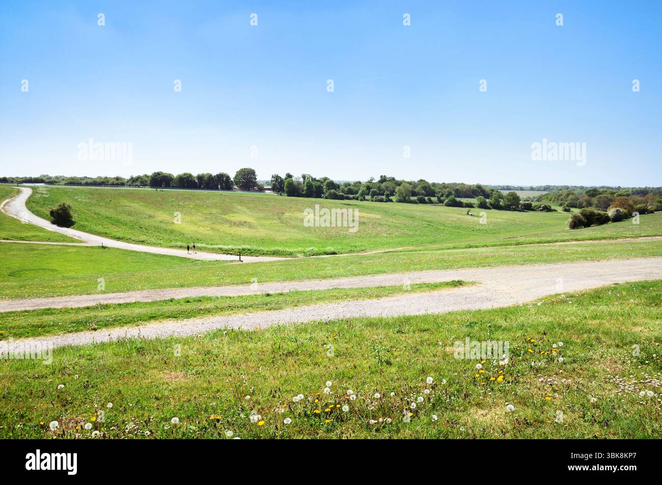 Vue sur la campagne herbeuse ouverte, les arbres et les sentiers sur Epsom Downs près de l'hippodrome par un jour de printemps ensoleillé, North Downs Way, Surrey, Angleterre, Royaume-Uni Banque D'Images