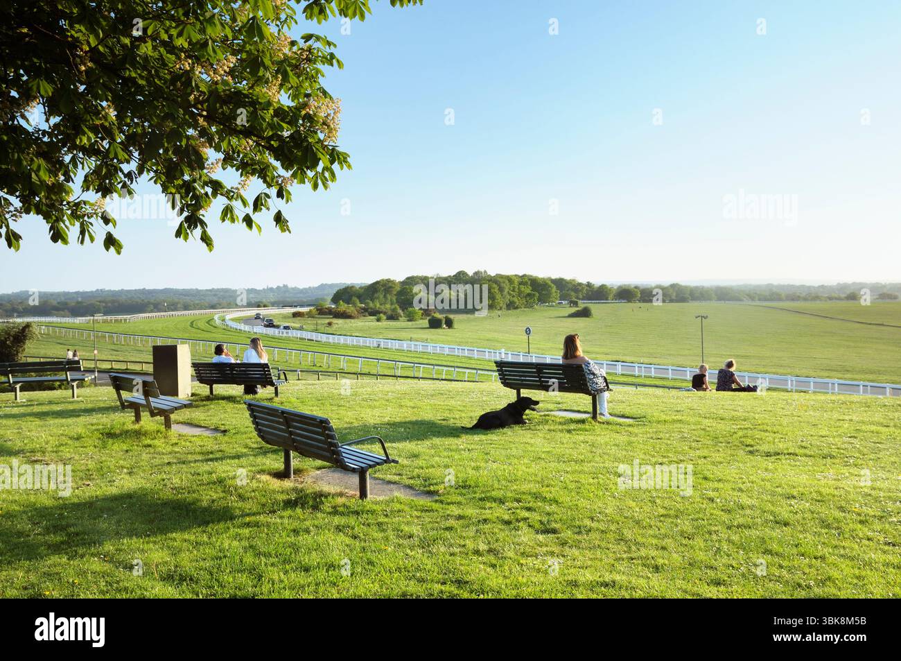 Les gens assis sur des bancs au soleil sur le Mound à Tattenham Corner surplombant le célèbre hippodrome d'Epsom Downs, stade du Derby, Surrey Angleterre, Royaume-Uni Banque D'Images