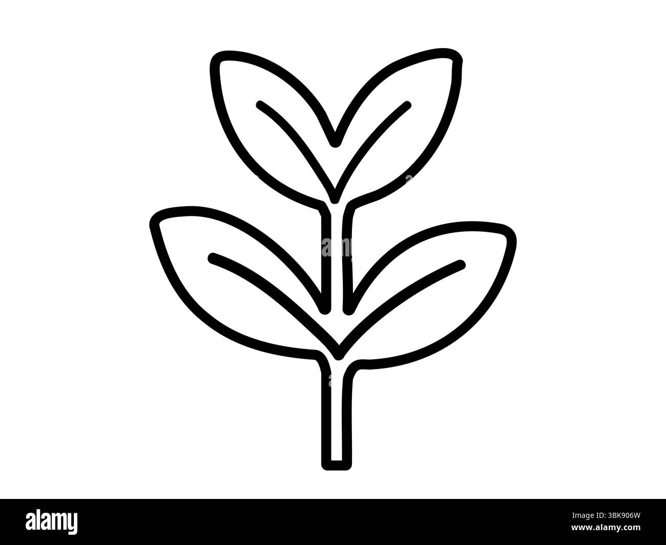 Contour noir de jeune plante avec des feuilles isolées sur fond blanc, illustration graphique. concept de semis, de jeunes arbres, de nature, de croissance, de botanique, journal Illustration de Vecteur