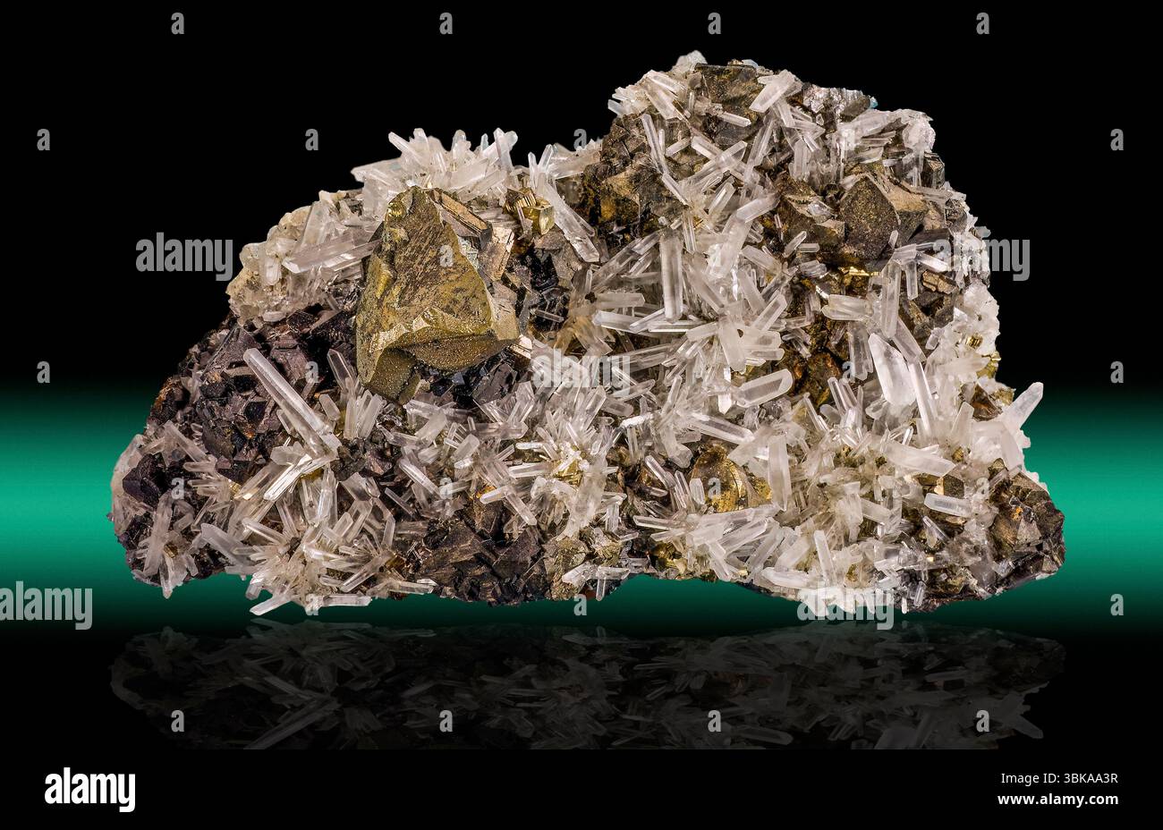 Ce spécimen minéral frappant présente des cristaux de chalcopyrite métalliques dorés dispersés à travers une matrice de quartz transparent à laiteux. Banque D'Images