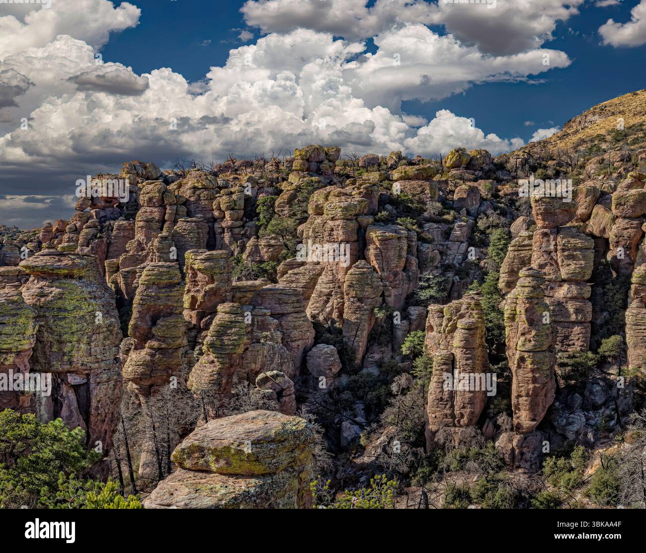 Chiricahua National Monument, dans le sud-est de l'Arizona, est réputé pour son paysage spectaculaire de formations rocheuses de rhyolite connues sous le nom de hoodoos. Th Banque D'Images