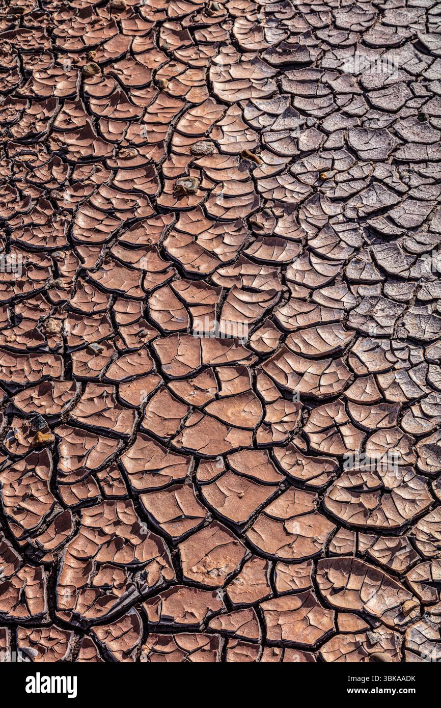 Argile bentonite fissurée sèche, Blue Mesa, Petrified Forest NP, AZ Banque D'Images