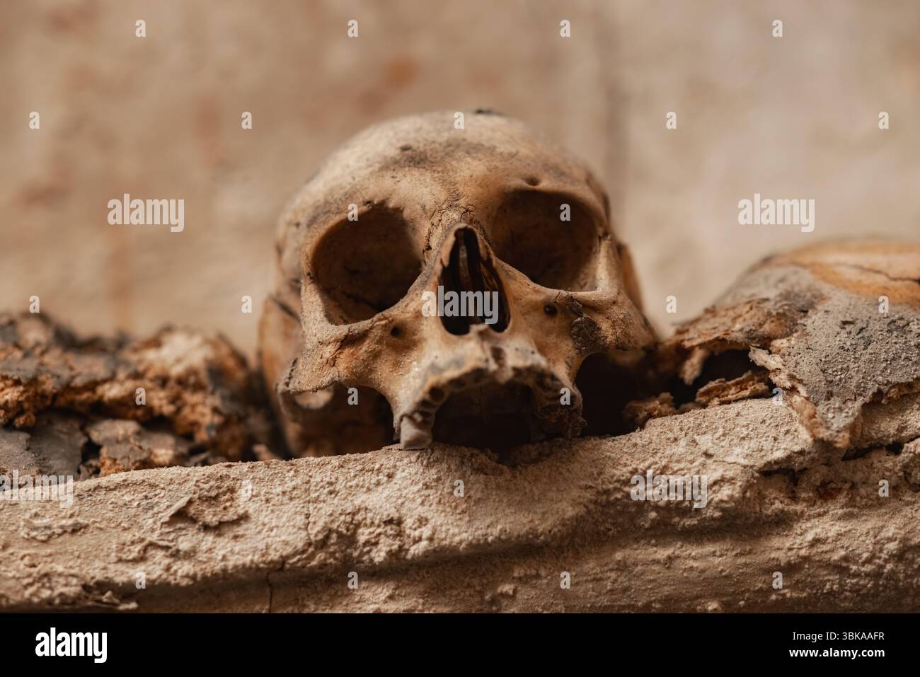 Crâne ancien découvert dans les profondeurs de catacombes en gros plan Banque D'Images