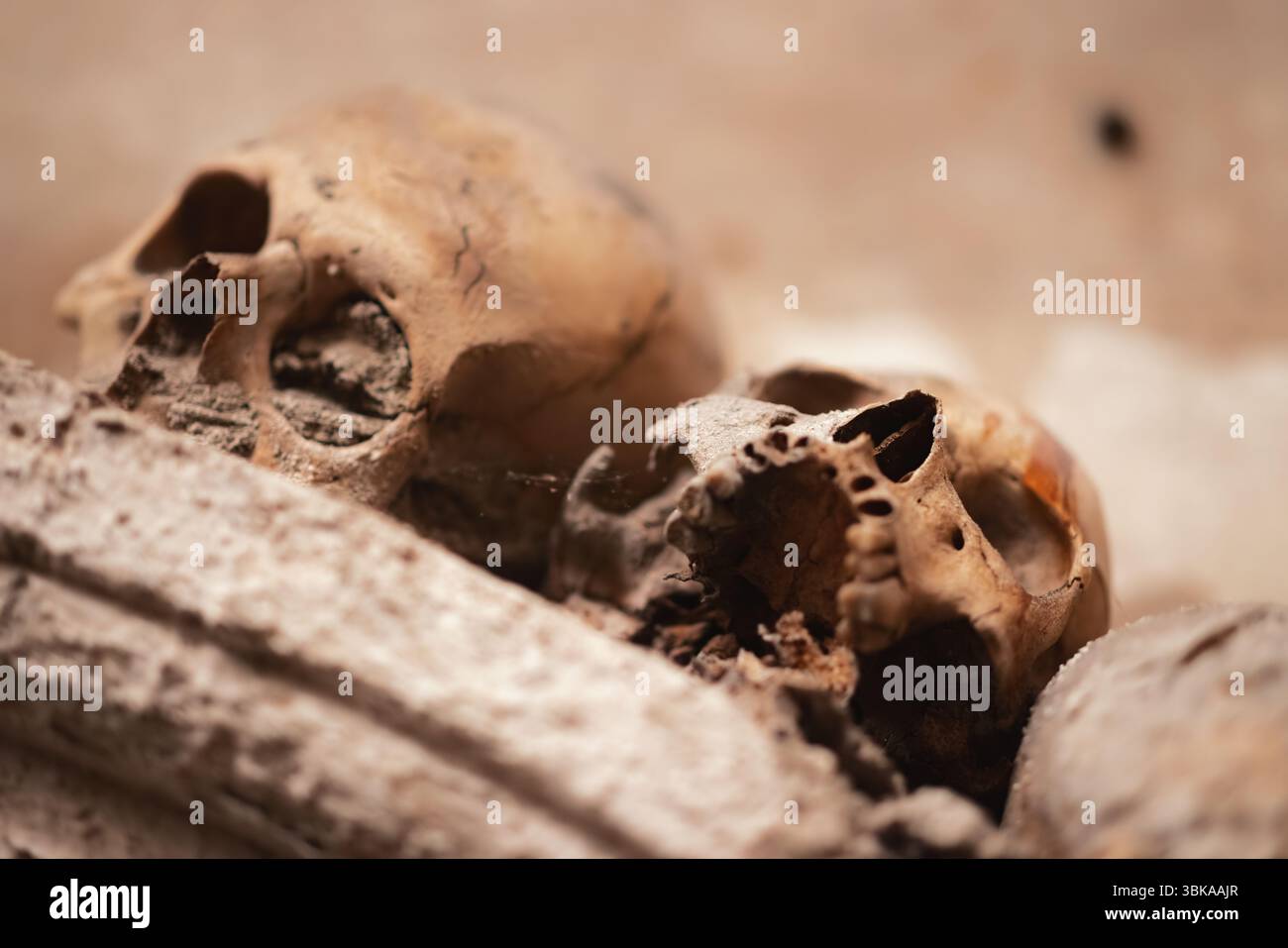 Crâne ancien découvert dans les profondeurs de catacombes en gros plan Banque D'Images