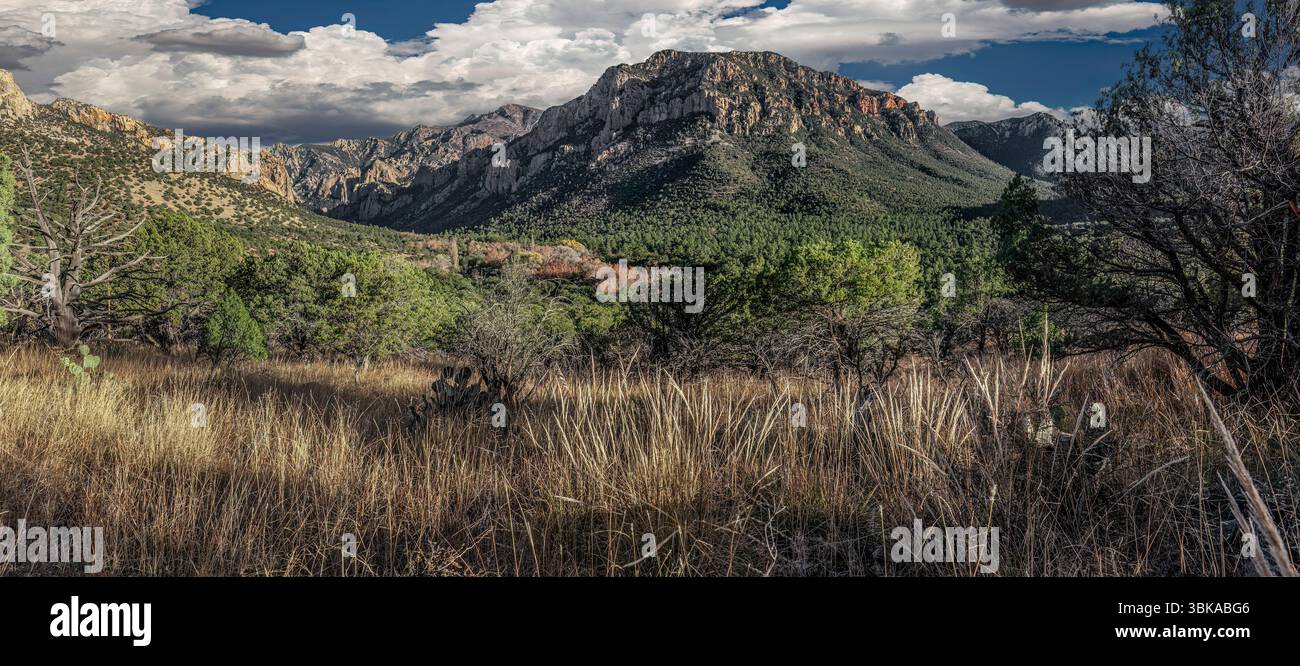 Chiricahua Wilderness, Arizona Banque D'Images