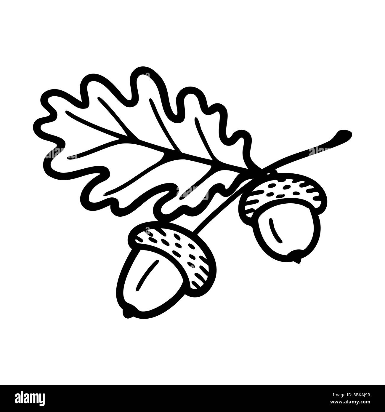 Une illustration d'une feuille de chêne avec deux glands attachés. Le design est simple et monochromatique, soulignant les éléments naturels du chêne. Illustration de Vecteur