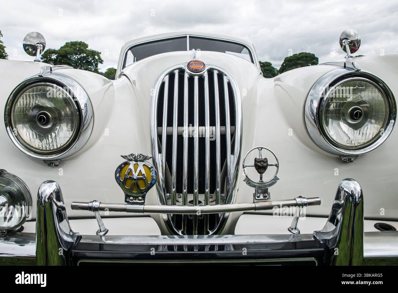 Vue de face d'une voiture de sport Jaguar XK140 1955 en blanc Banque D'Images