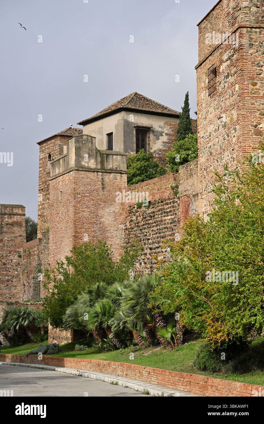 Alcazaba de Málaga, Mont Gibralfaro Malaga, Espagne avril Banque D'Images