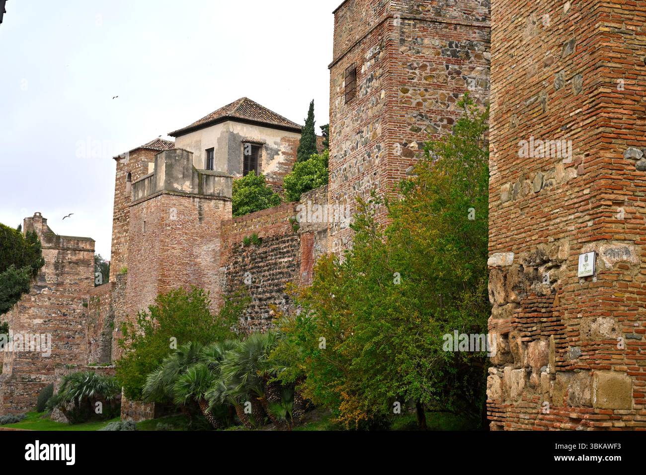 Alcazaba de Málaga, Mont Gibralfaro Malaga, Espagne avril Banque D'Images