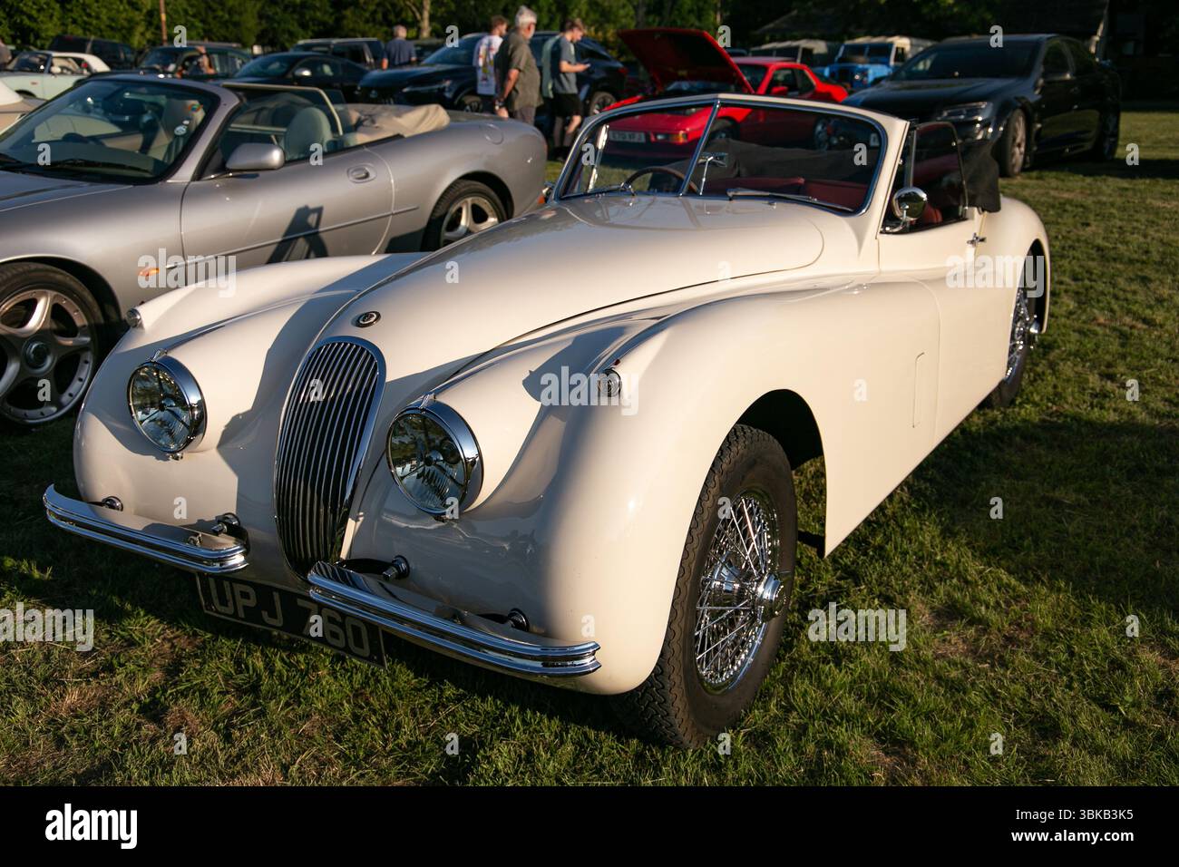 Vintage blanc Jaguar XK120 garé à l'extérieur dans un salon de voitures classiques sous la lumière du soleil avec d'autres véhicules en arrière-plan Poulshot Devizes Banque D'Images