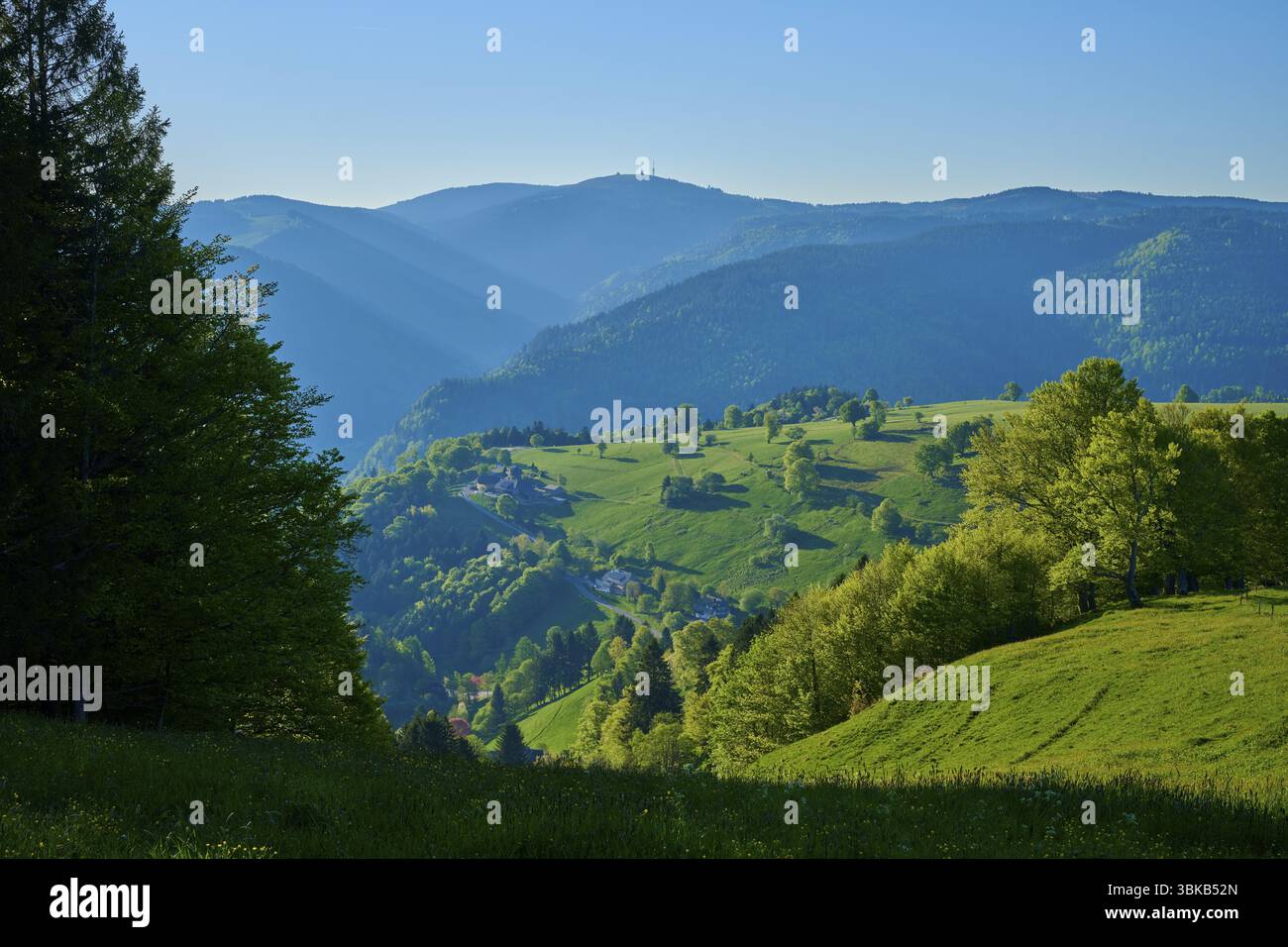 Une vallée ensoleillée avec Feldberg et un ciel vert et clair luxuriant, printemps, Schauinsland, Freiburg im Breisgau, Forêt Noire, Bade-Wuertemberg, Allemagne, Euro Banque D'Images