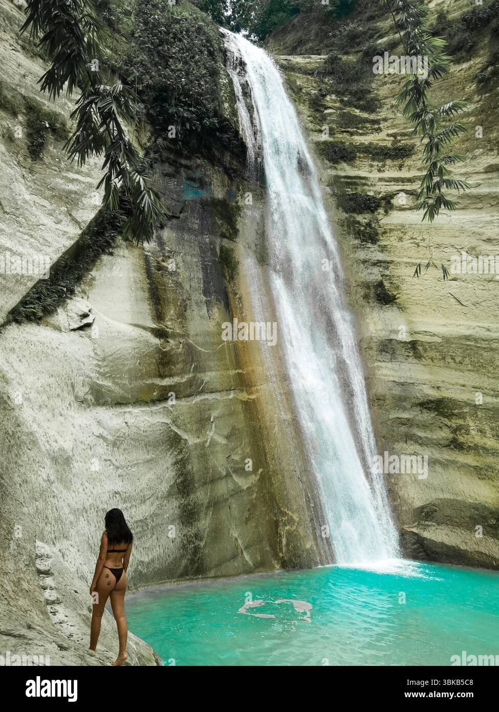 Cascade dans la jungle, canyon turquoise, évasion tropicale - les eaux vibrantes des chutes de Dao cascades à travers les canyons escarpés de la jungle à Cebu, Philippines. A Banque D'Images