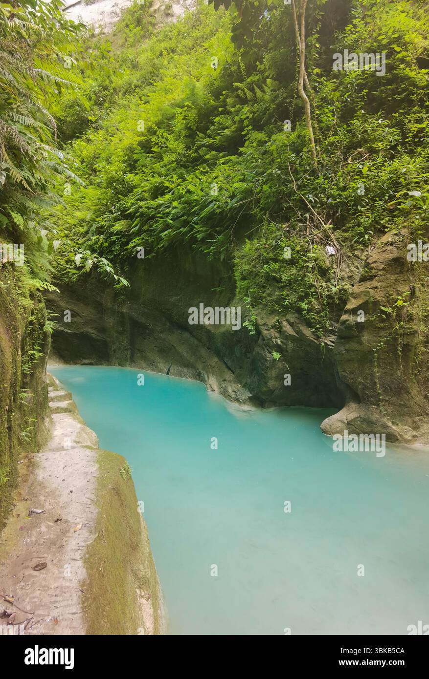 Cascade dans la jungle, canyon turquoise, évasion tropicale - les eaux vibrantes des chutes de Dao cascades à travers les canyons escarpés de la jungle à Cebu, Philippines. A Banque D'Images