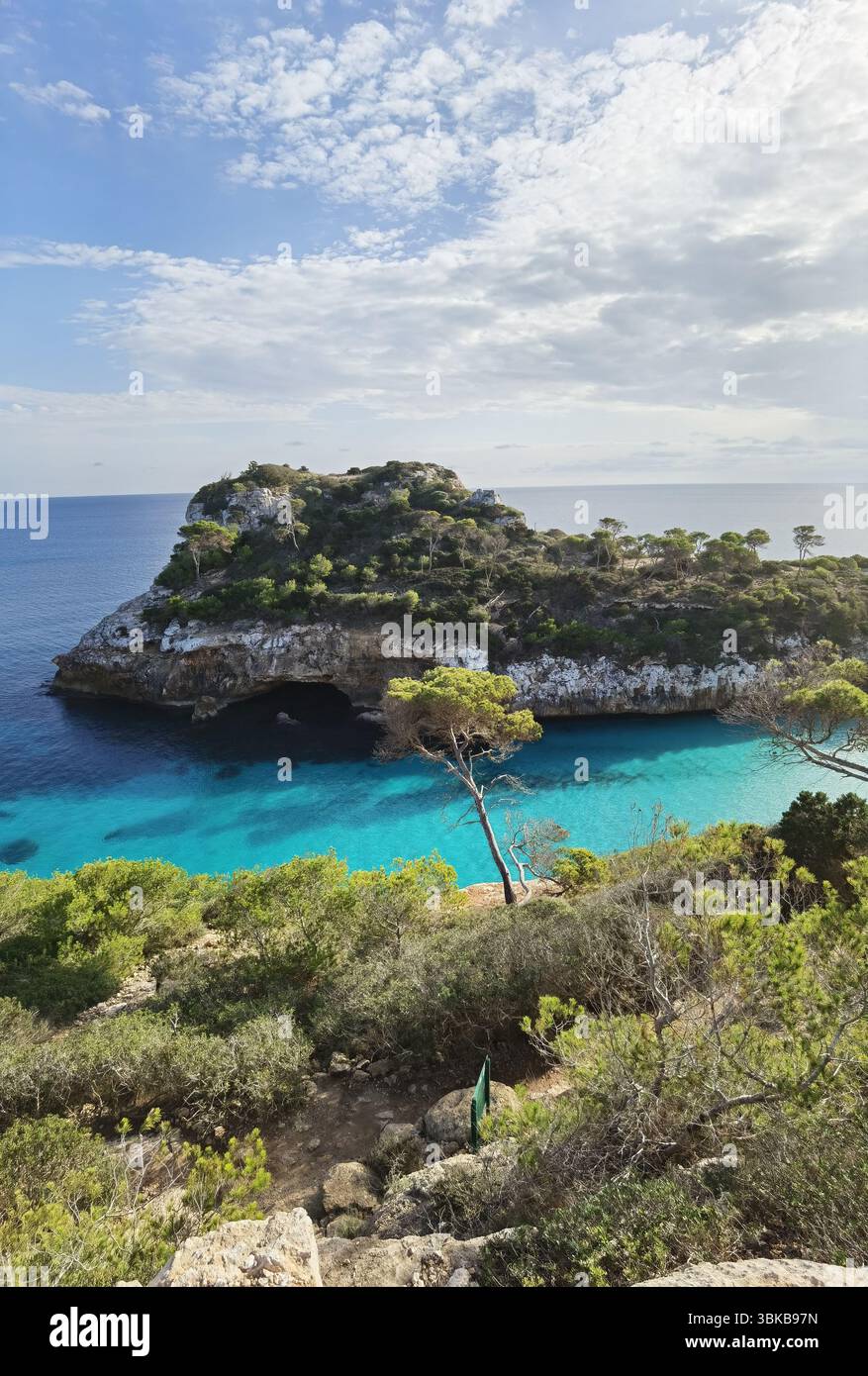 Vue aérienne, crique turquoise, falaises de pins — superbe vue aérienne de Caló des Moro, Majorque, où les eaux turquoises rencontrent des falaises rocheuses et des pins. Un Medi Banque D'Images