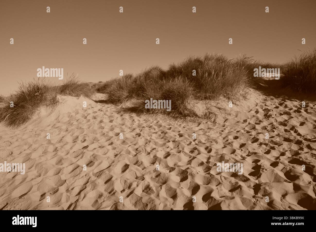 Image sépia des dunes de Camber Sands prise en juillet. Des motifs de sable ondulé et des dunes partiellement couvertes d'herbe créent un paysage texturé. Banque D'Images